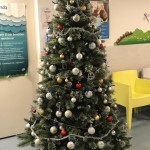 Festa di Natale 2019