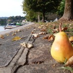 Le pere di ABIO in tour - Brivio
