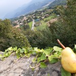 Le pere di ABIO in tour - Arlate
