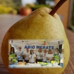 Le pere della Giornata Nazionale